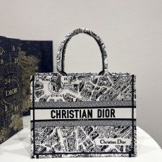 Dior Shopping Bags